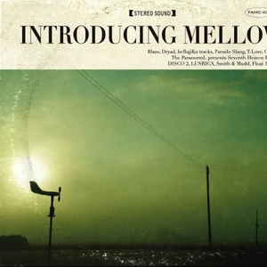 高跟鞋跟扎进尿眼扎流血视频
