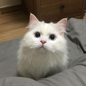 高跟鞋跟扎进尿眼扎流血视频
