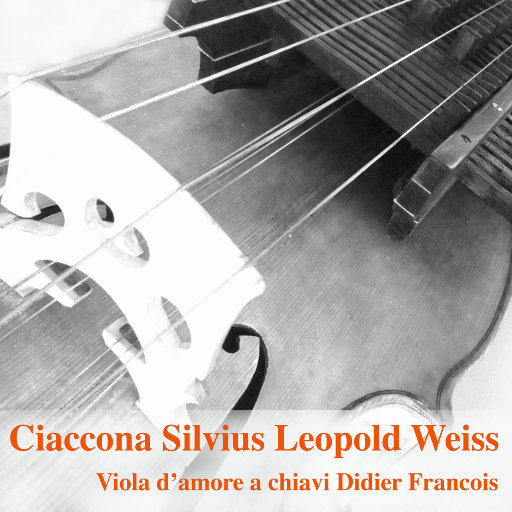 高跟鞋跟扎进尿眼扎流血视频
